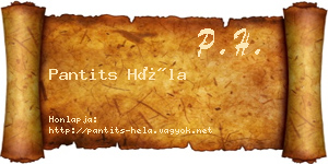 Pantits Héla névjegykártya
